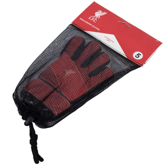 Liverpool dziecięce rękawice bramkarskie Fuse Goalkeeper Gloves Kids 67-73mm palm width