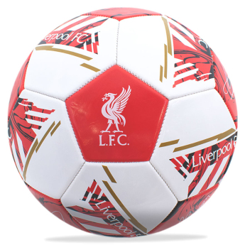 Liverpool zestaw piłkarski water bottle - hand pump - size 5 ball