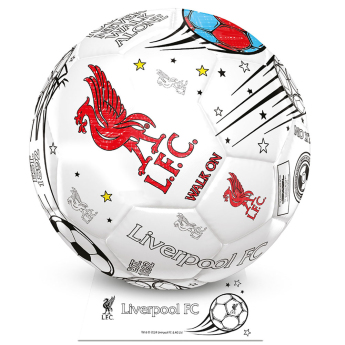 Liverpool piłka Colour - size 2