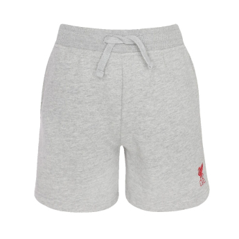 Liverpool spodenki dziecięce Sweat grey