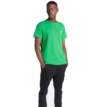 Liverpool koszulka męska Embroidered green