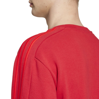 Bayern Monachium bluza męska DNA Sweat red