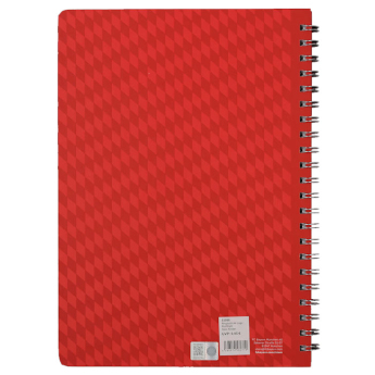 Bayern Monachium notes A4 Ring