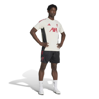 Liverpool męska bielizna Tiro Training