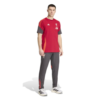 Liverpool koszulka męska Tiro Tee red