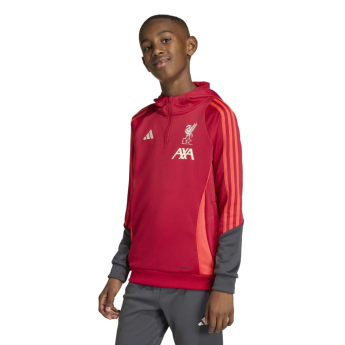 Liverpool dziecięca bluza z kapturem Track red