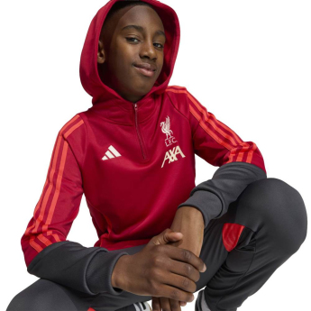 Liverpool dziecięca bluza z kapturem Track red
