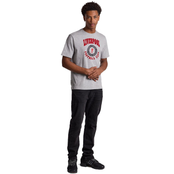 Liverpool koszulka męska Collegiate grey