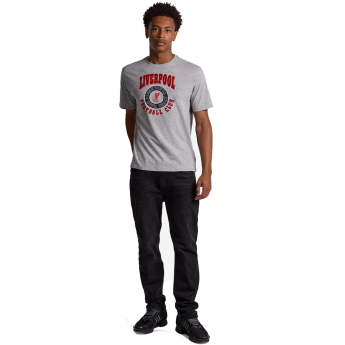 Liverpool koszulka męska Collegiate grey