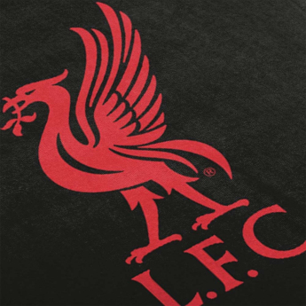 Liverpool koc Dark Rayz