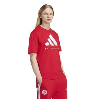 Bayern Monachium koszulka męska DNA Graphic red