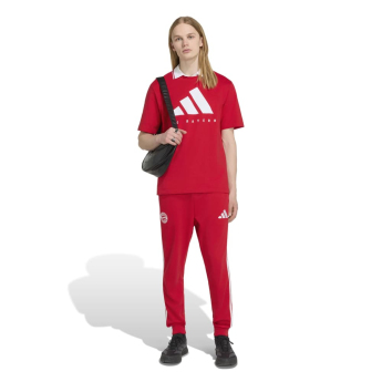 Bayern Monachium koszulka męska DNA Graphic red