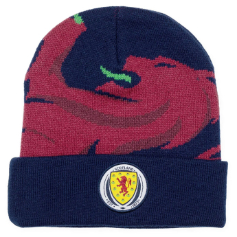 Reprezentacja piłki nożnej czapka Cuff Beanie