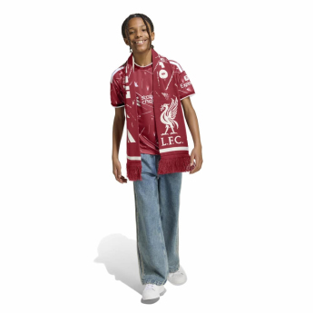 Liverpool dres dziecięcy FC 26/27 away