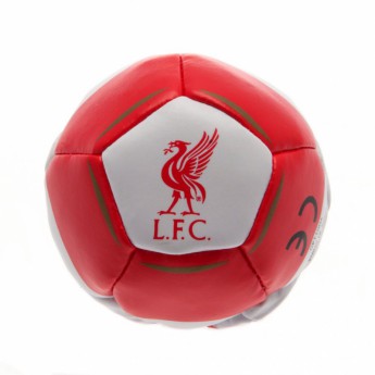 Liverpool footbag Kick n Trick ST