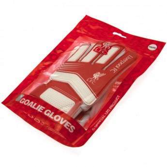 Liverpool dziecięce rękawice bramkarskie Goalkeeper Gloves Kids