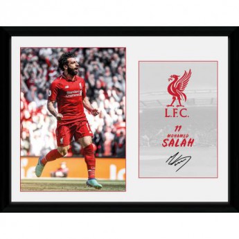 Liverpool obrazek w ramce 11Salah 16 x 12