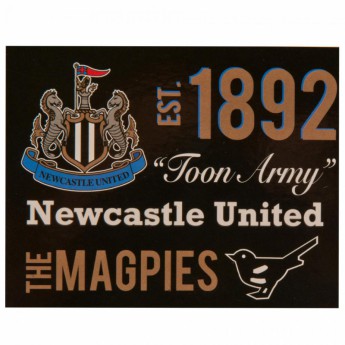 Newcastle United koc flis Fleece Blanket