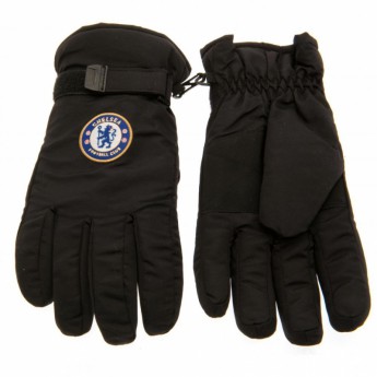 Chelsea rękawice narciarskie Adult Ski Gloves