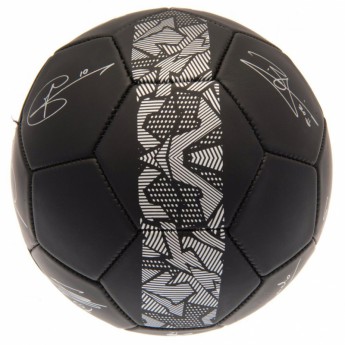 Tottenham piłka Football Signature PH - size 5