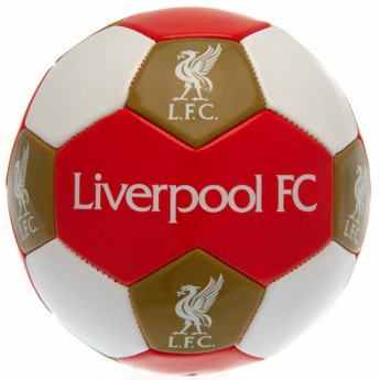 Liverpool piłka Football - size 3