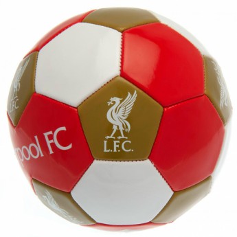 Liverpool piłka Football - size 3